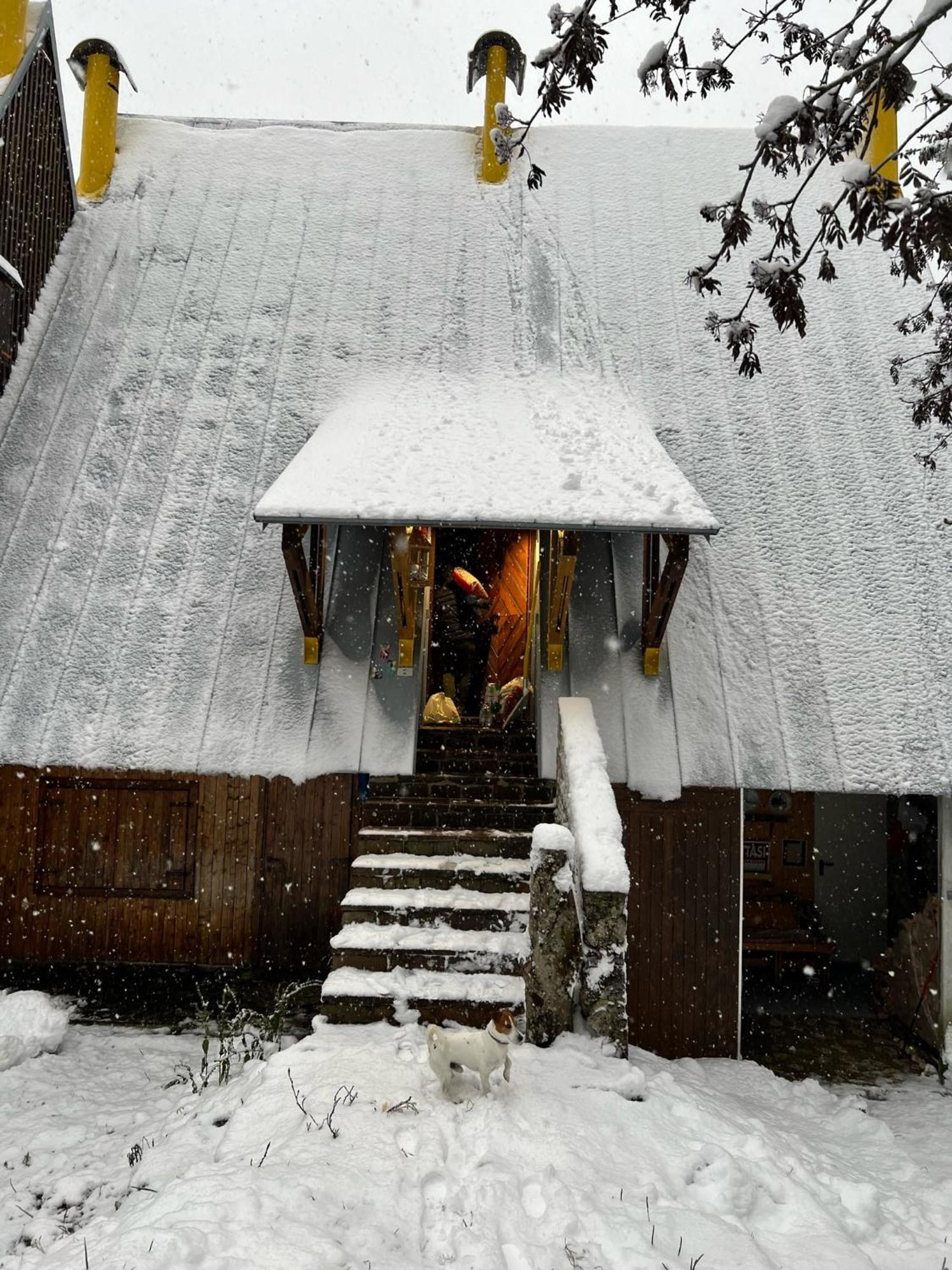 סלה נבאה ~Chalet_Rifugio Tra I Boschi~ מראה חיצוני תמונה