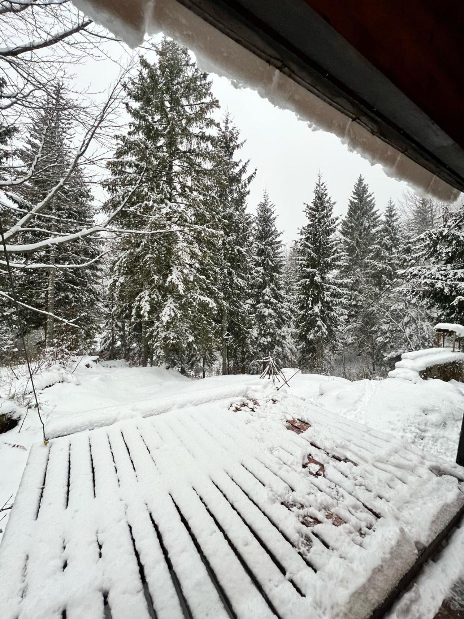 סלה נבאה ~Chalet_Rifugio Tra I Boschi~ מראה חיצוני תמונה