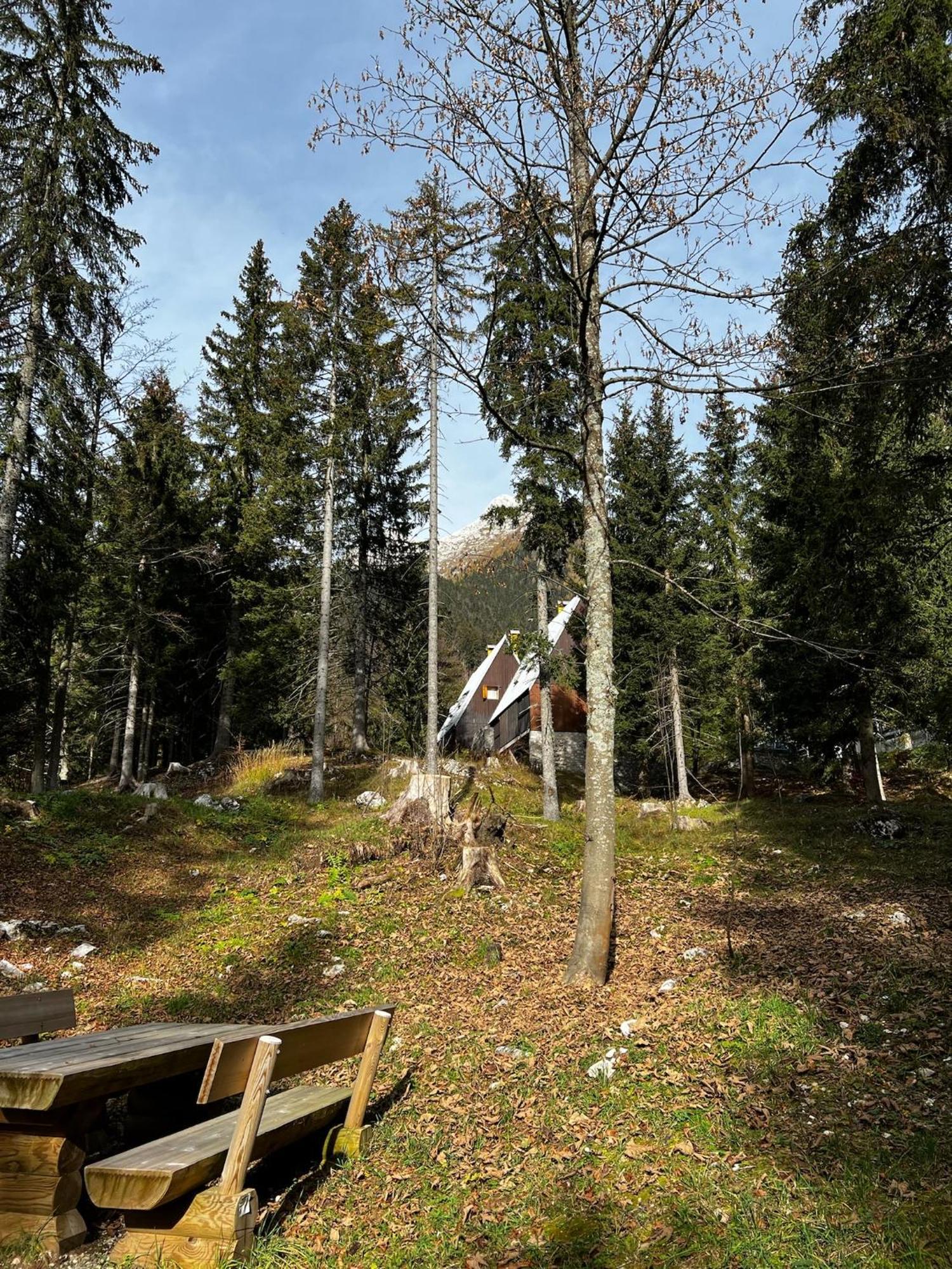 סלה נבאה ~Chalet_Rifugio Tra I Boschi~ מראה חיצוני תמונה